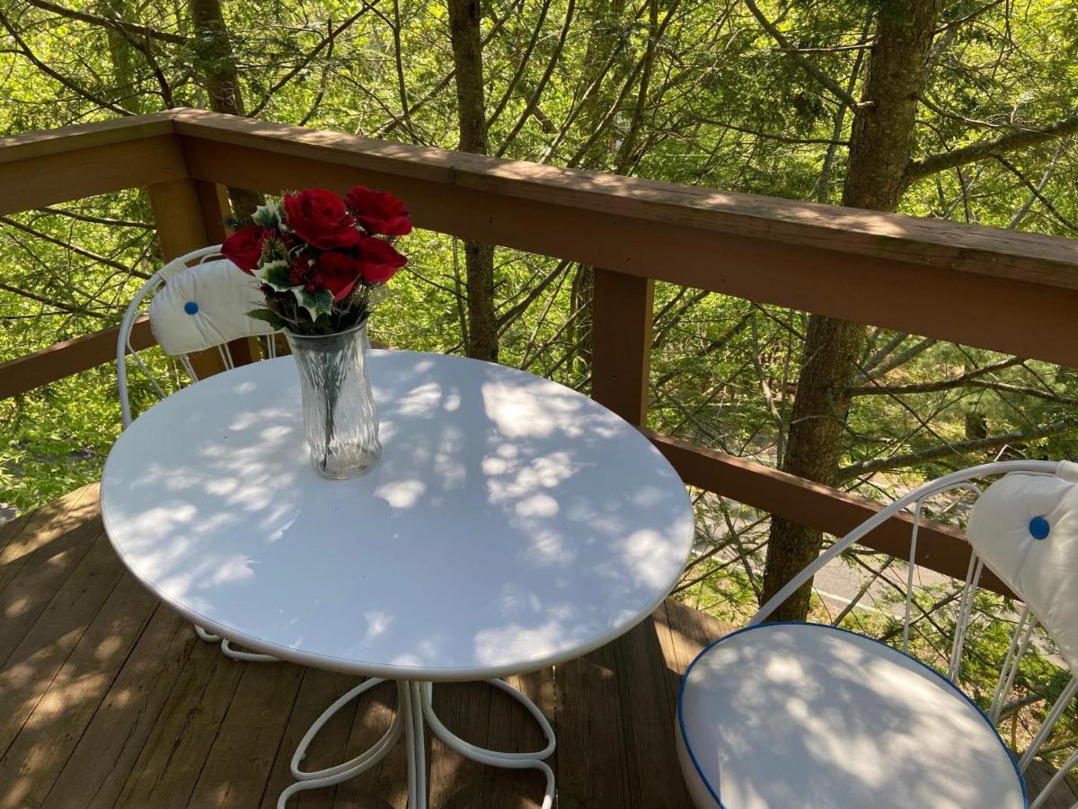 Saw Creek Cabin - Regent Hilltop Bushkill Exteriör bild
