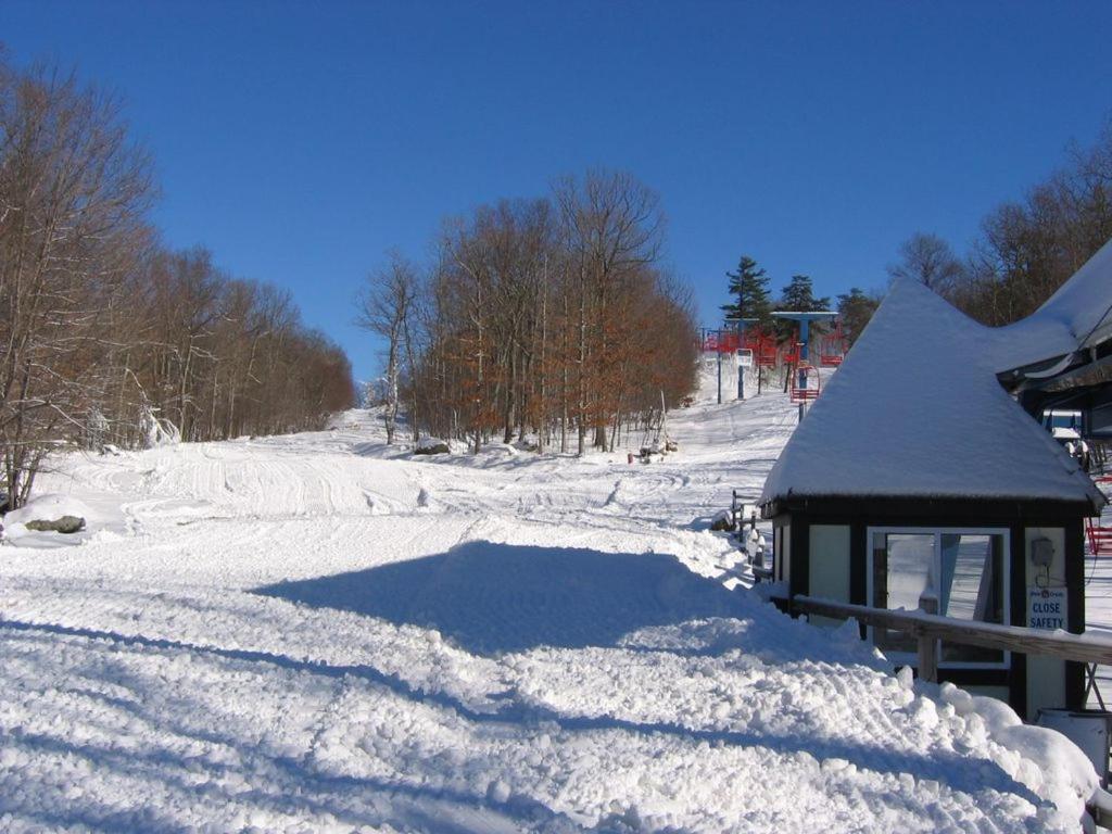 Saw Creek Cabin - Regent Hilltop Bushkill Exteriör bild