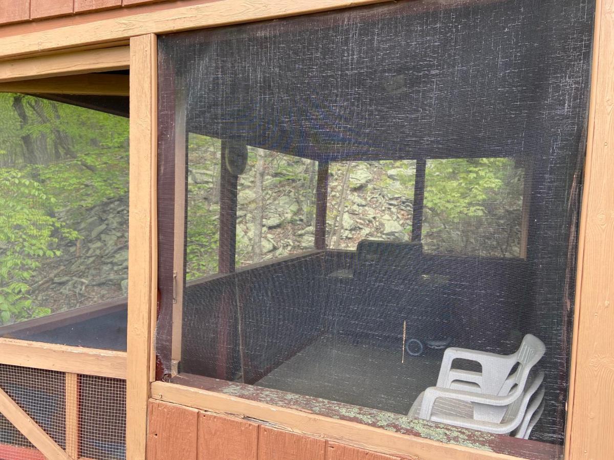 Saw Creek Cabin - Regent Hilltop Bushkill Exteriör bild