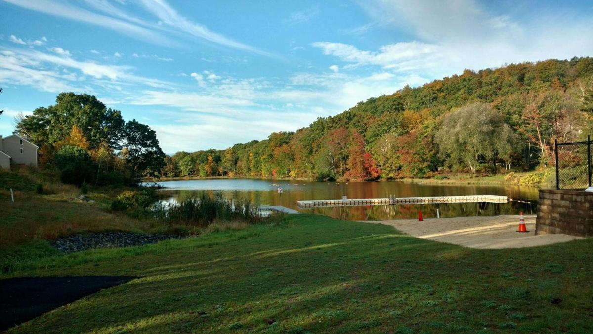 Saw Creek Cabin - Regent Hilltop Bushkill Exteriör bild